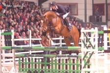 hengstenshow st-niklaas